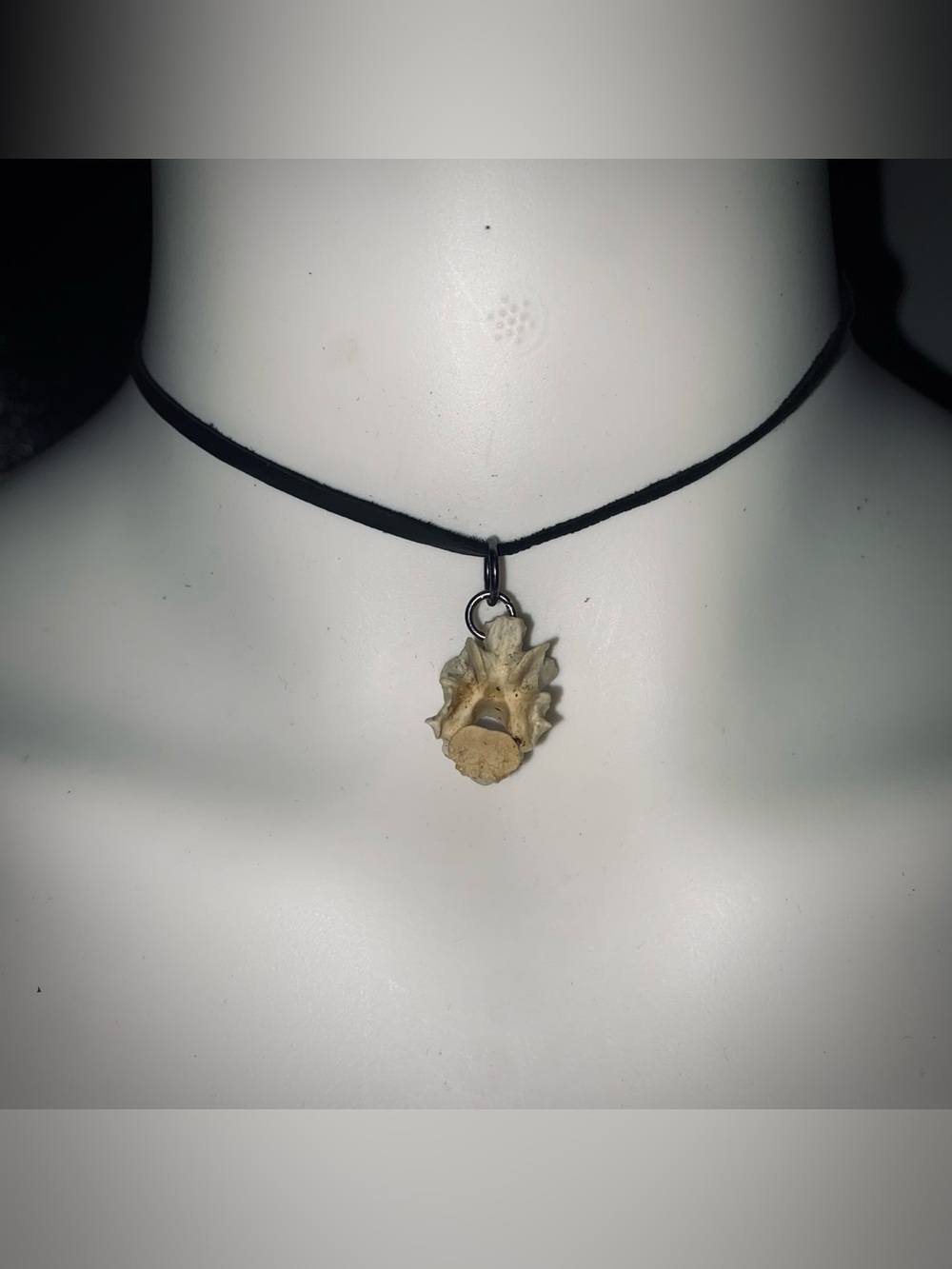 possum vertebrae bone choker